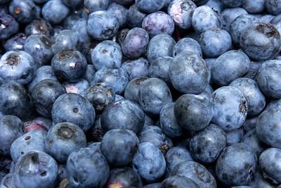 blueberry farming