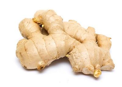 growing ginger root
