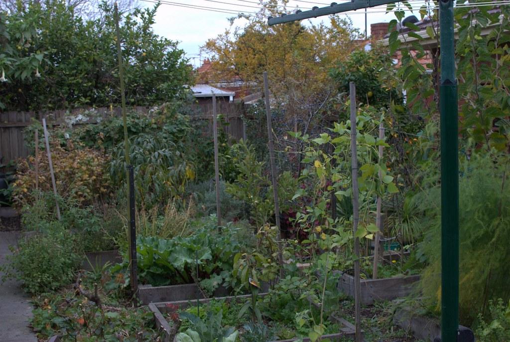 Backyard Food Forest