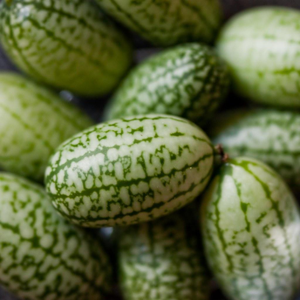 Cucamelons!