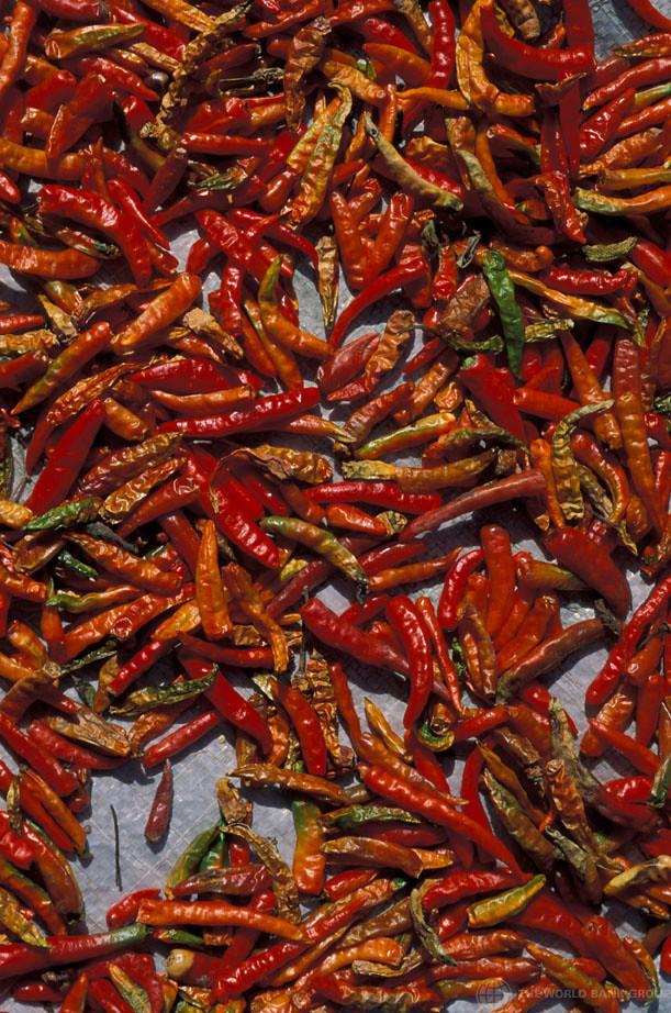 Drying peppers and preserving fruits