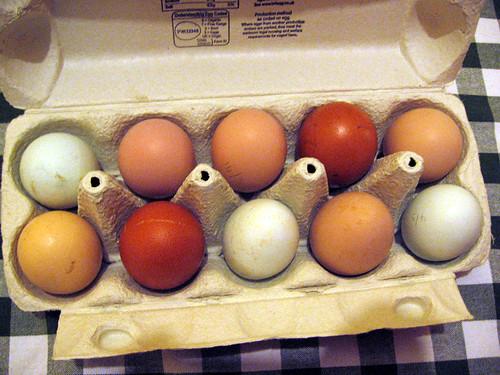 emma's chickens' eggs