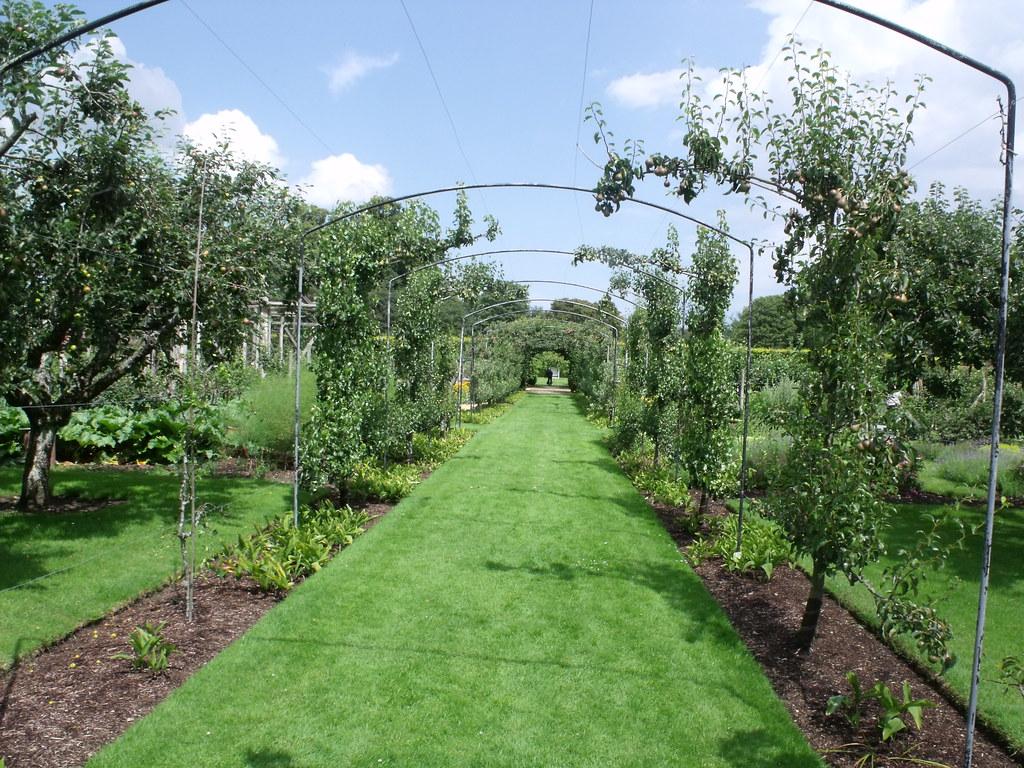 Houghton Hall - Walled Garden - Fruit and Vegetable Garden - Pear trees