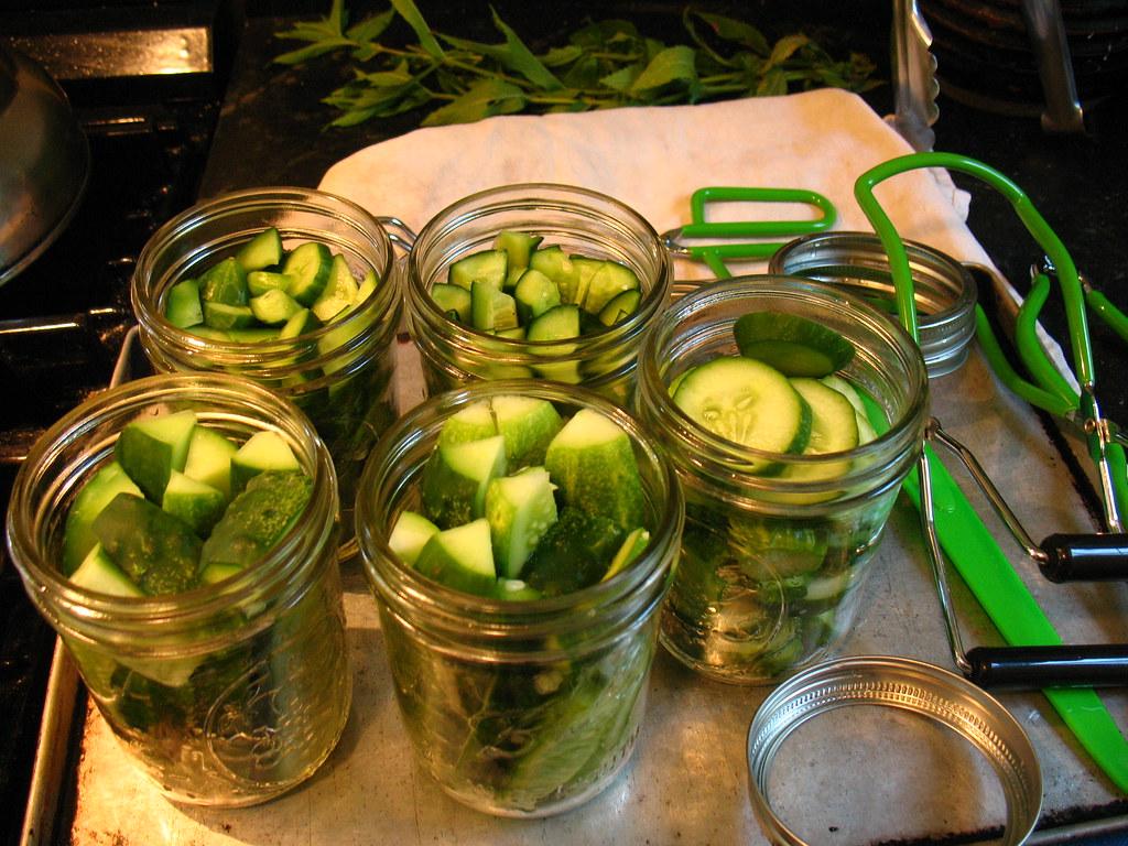 how to pickle