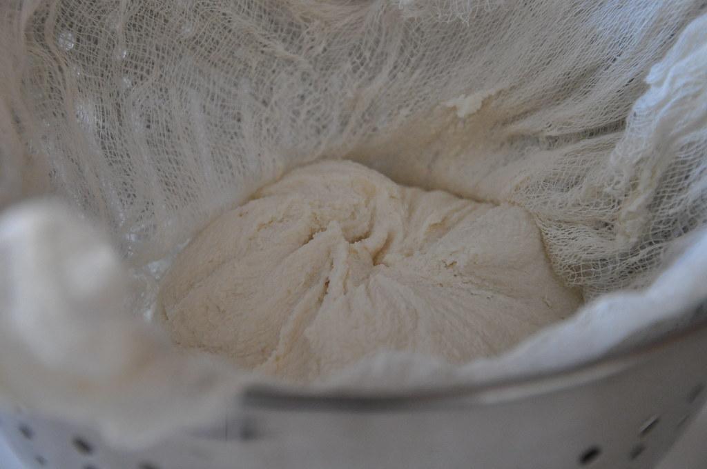 Making fermented almond cheese - Ready to ferment