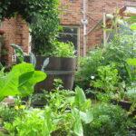 permaculture strata-title garden