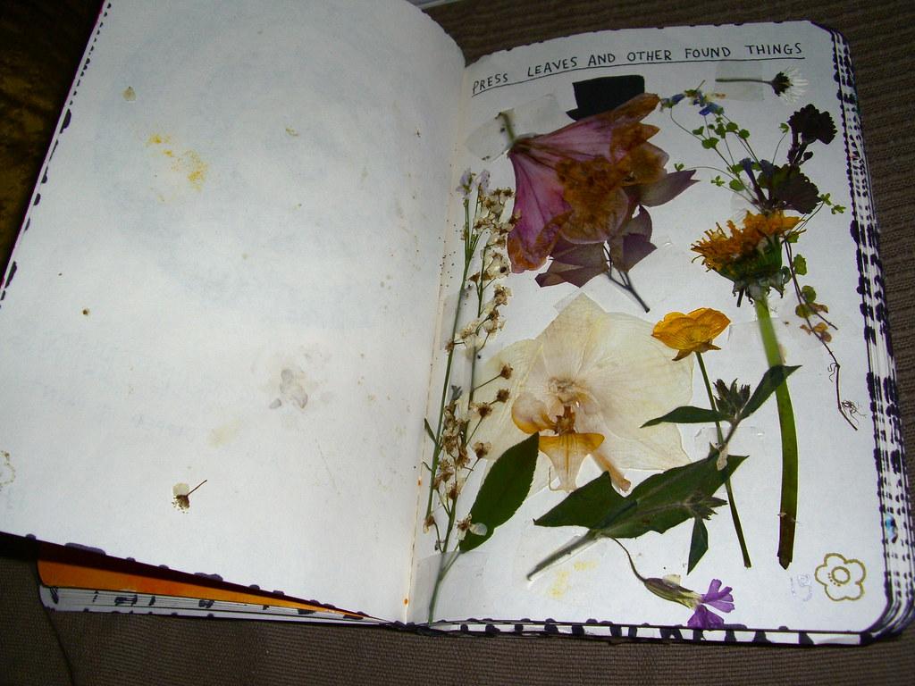 garden journals