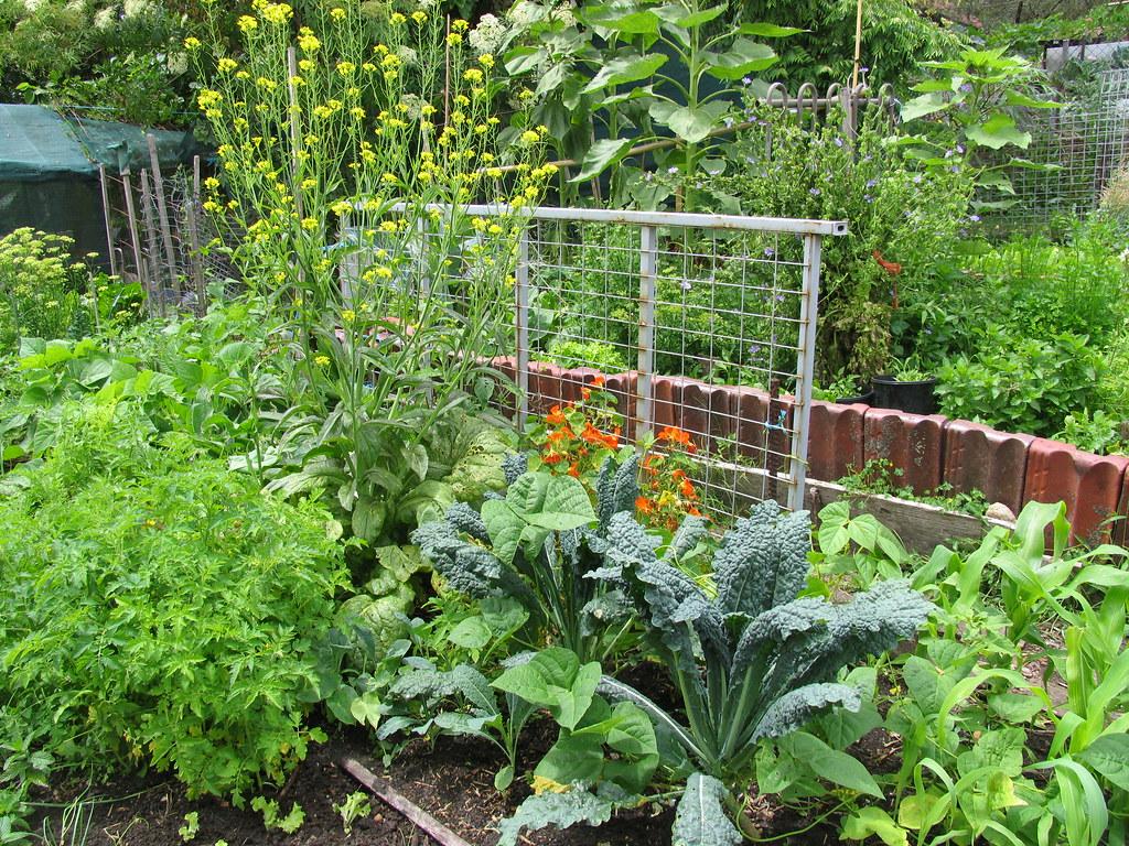 Visit to Glovers St Permaculture Garden