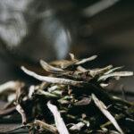 White pine needles - white tea