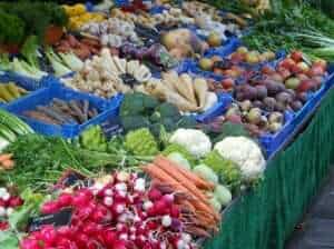 selling vegetables from your garden