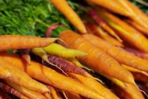 heirloom carrots
