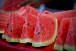 harvest watermelon
