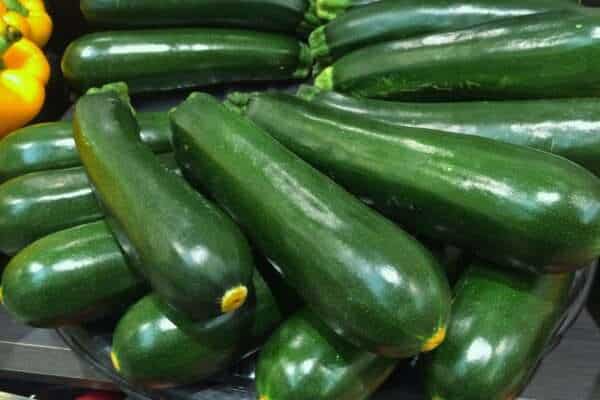 zucchini green vivid vegetable 1630518